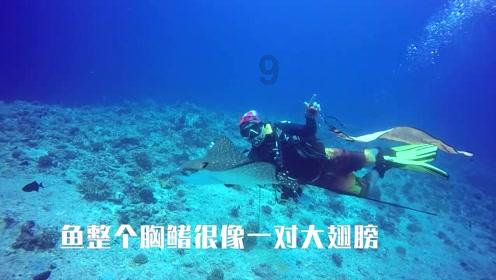 皮裤风尚